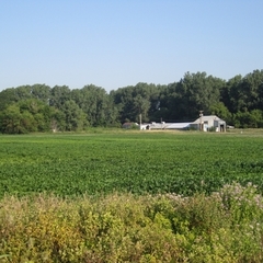 176+ acre farm for sale in ohio at maltz auctions
