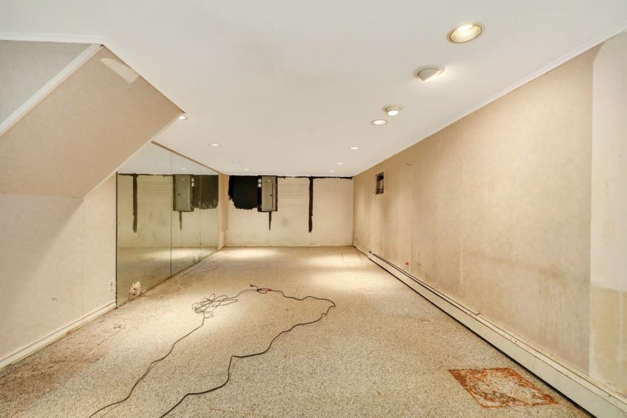 basement of home for sale at maltz auctions in new york
