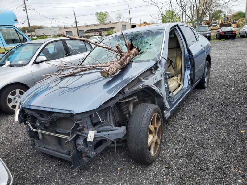 damaged vehicle with tree in windshield for sale at maltz auto auctions