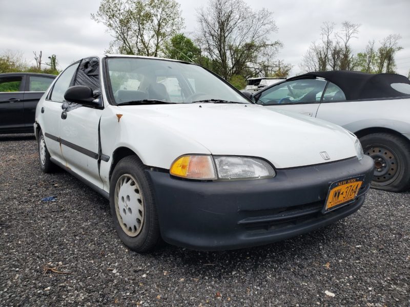 white honda for sale at maltz auto auctions in new york