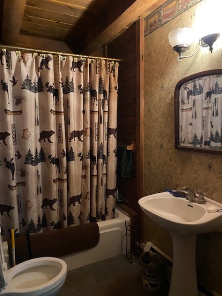 bathroom inside of home for sale at maltz auctions