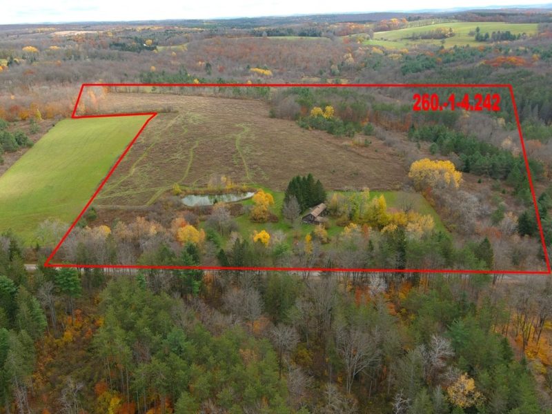 Home/59 Acres/Pond
